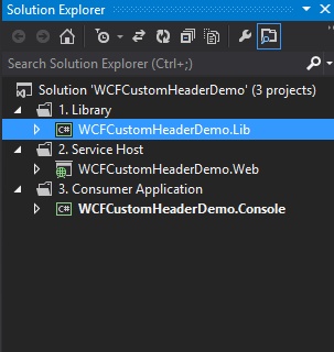 Solution Organisation